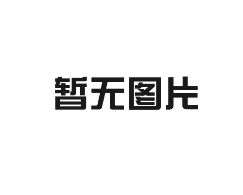 国内工业涂料公司迈向国际市场